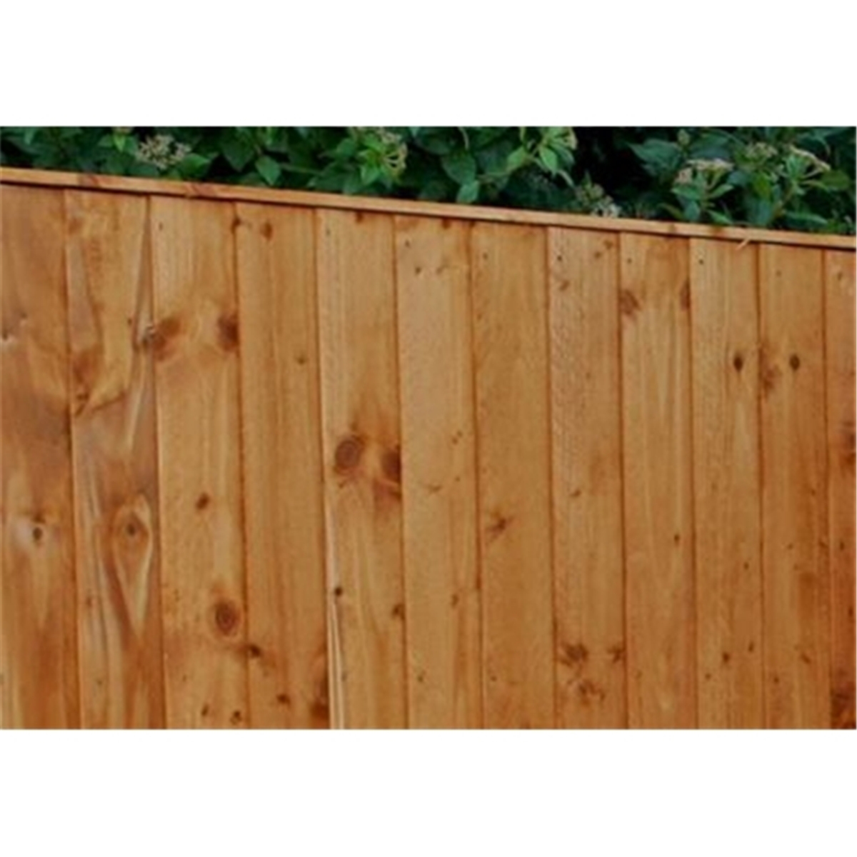 5FT Vertical Feather Edge Fencing (Flat Top) 1 Panel Only (Min Order