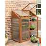 Deluxe Hardwood Mini Greenhouse